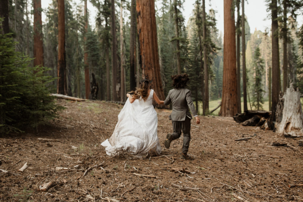 Wedding at national park in CA