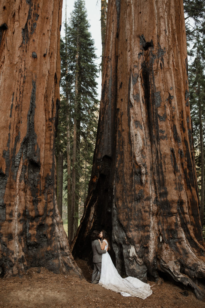 Bride and groom at Sequoia National Park