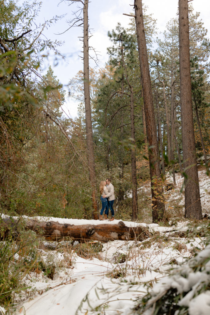 engagement session in the snow