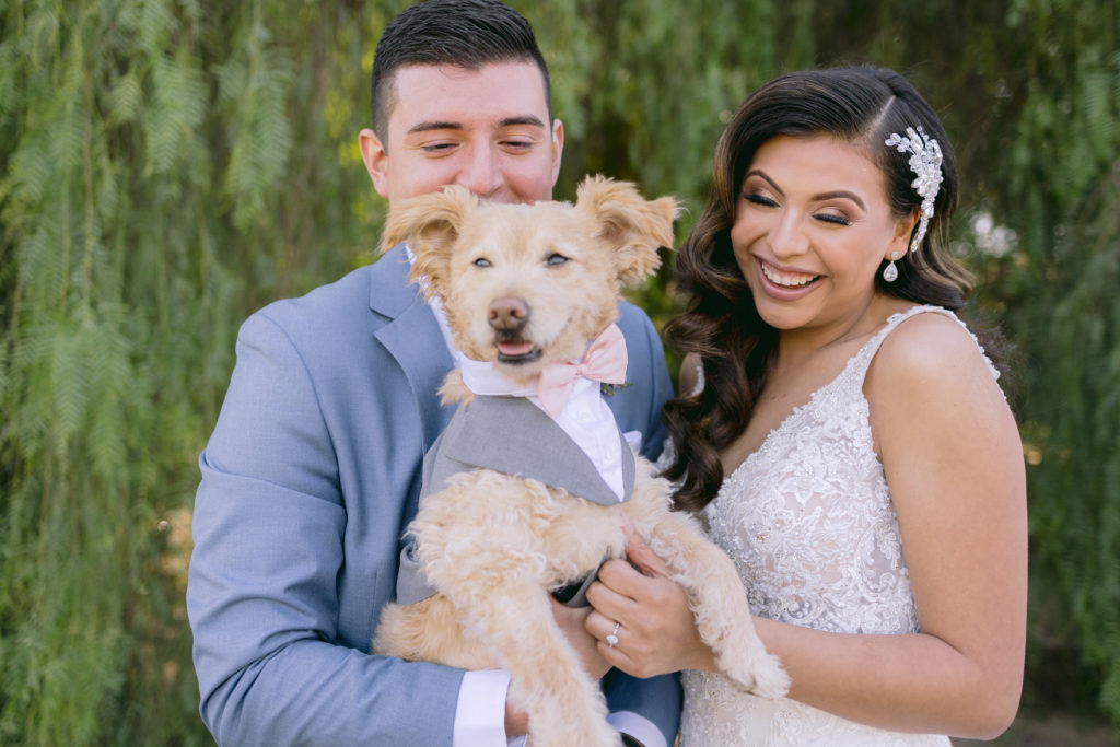 bride and groom with their dog of honor